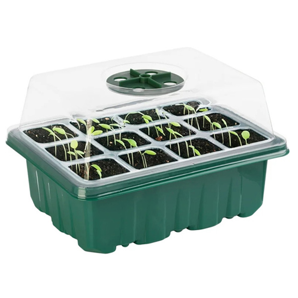 PLANTURKA