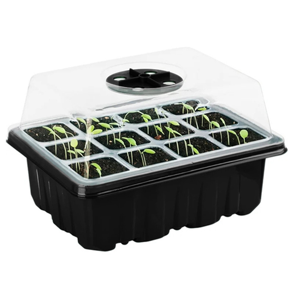 PLANTURKA
