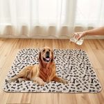 PAWSORB